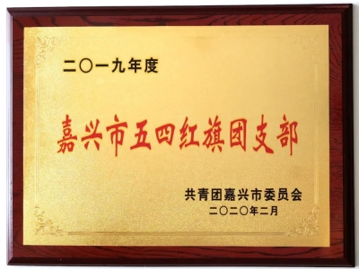 嘉興市五四紅旗團支部